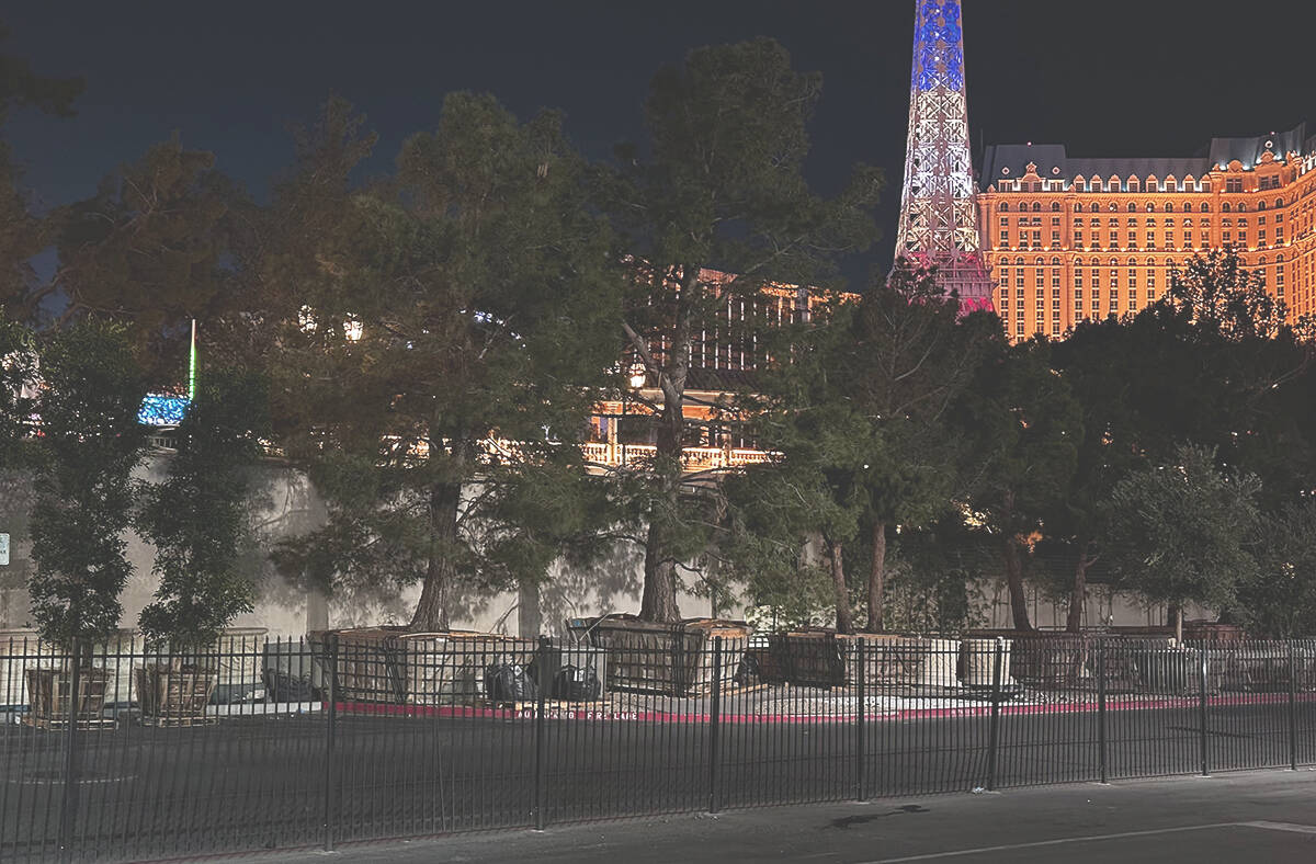 Venetian, MGM working to return attractions to normal after F1 race | Casinos & Gaming - Vimarsana News