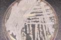 Fungus ‘superbug’ cases rise to highest levels in Nevada