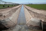 20 farming families use more water from the Colorado River than some states