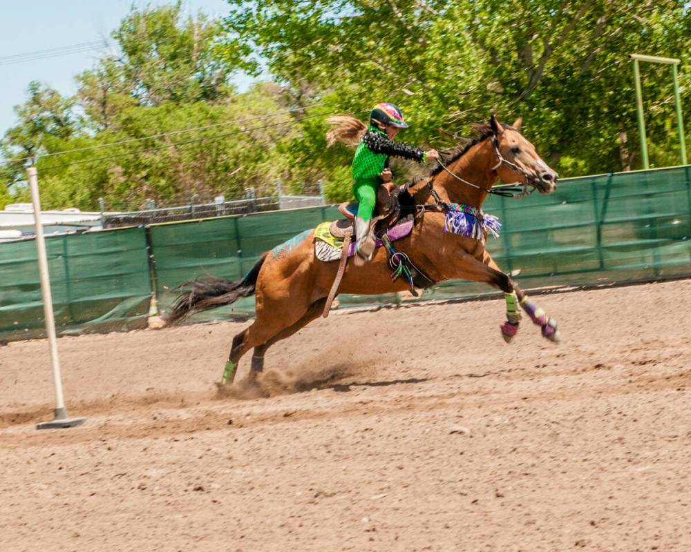 Rori Fenner runs home after a 20-second pole run on Mr. Star Bogie "Bucky" in Fallon, Nevada. ( ...