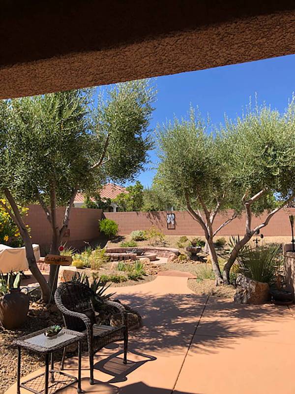 Olive trees (except for the allergy problems they produce) are a very good choice for low-water ...