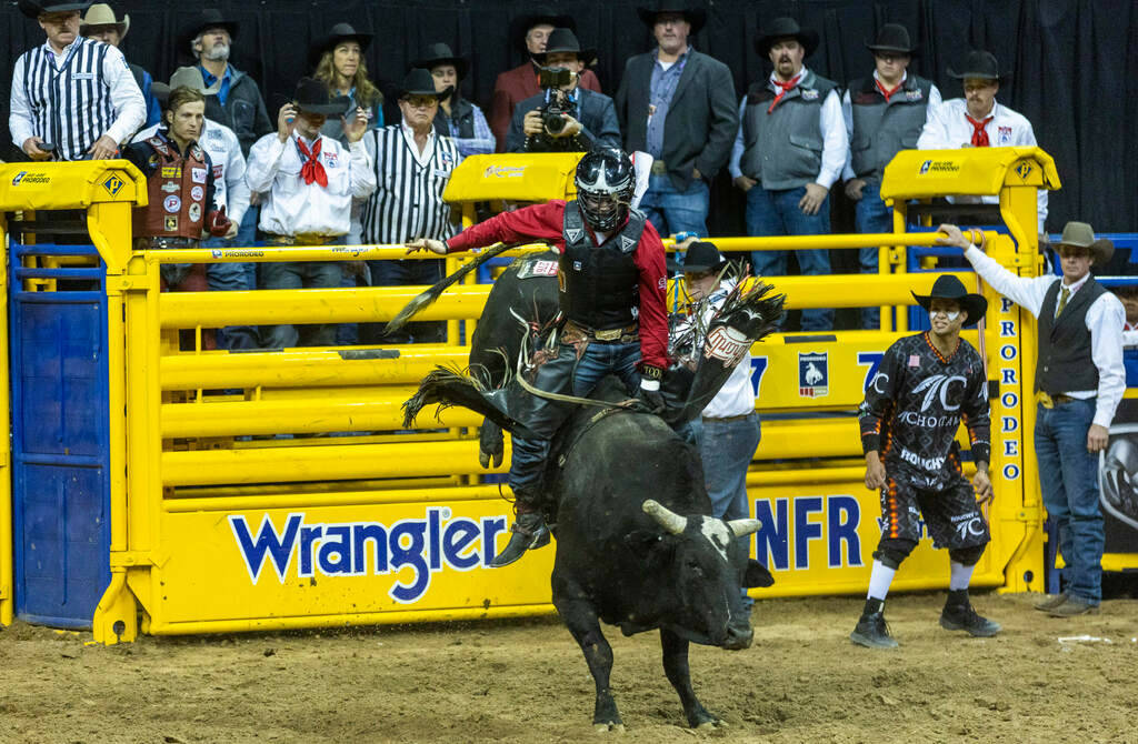 Trey Holston of Fort Scott, KS., hangs tight on his winning ride in Bull Riding during the Nati ...