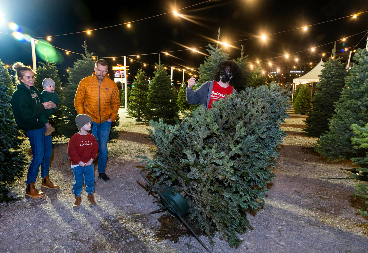 Where to buy Christmas trees in Las Vegas Entrepreneurs Business