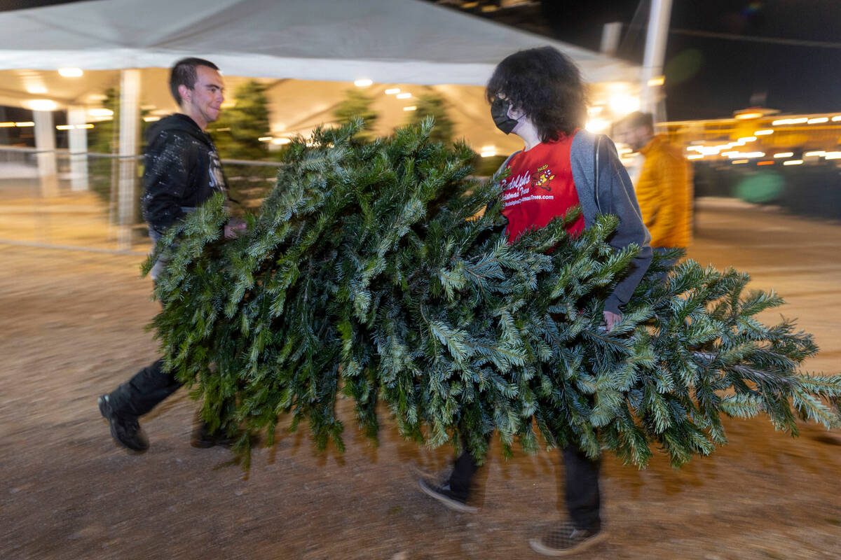 Where to buy Christmas trees in Las Vegas Entrepreneurs Business
