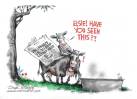 CARTOONS: Why cows like the UN’s climate plan