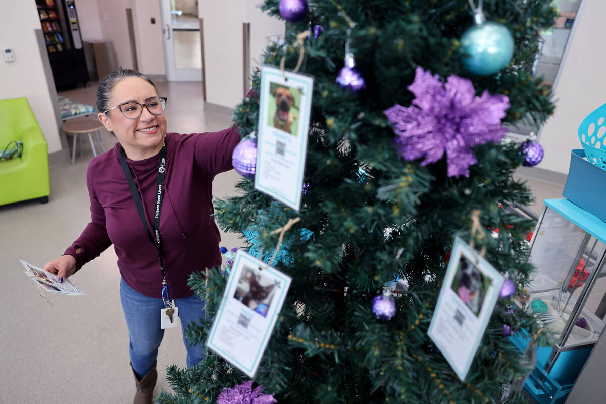 The Animal Foundation Event Manager Nicole Edwards hangs wish ornaments featuring adoptable cat ...