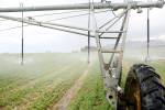 LETTER: Water, farming issue is complicated