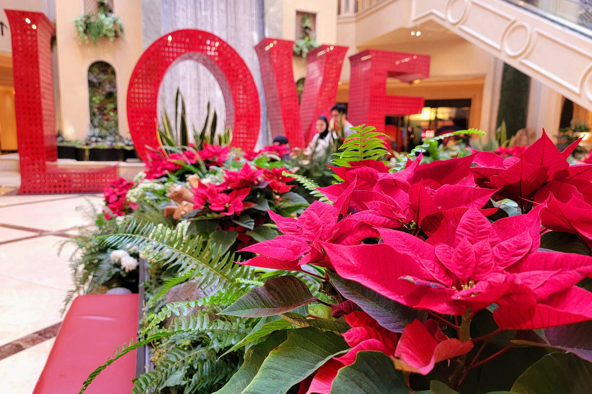 The “Love” sign is a popular spot for photographs at the dolled-up-for-the-holida ...