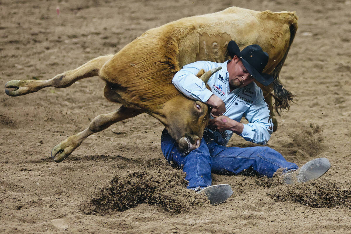 Stan Branco wrestles his steer during steer wrestling at NFR in the Thomas & Mack Center on ...