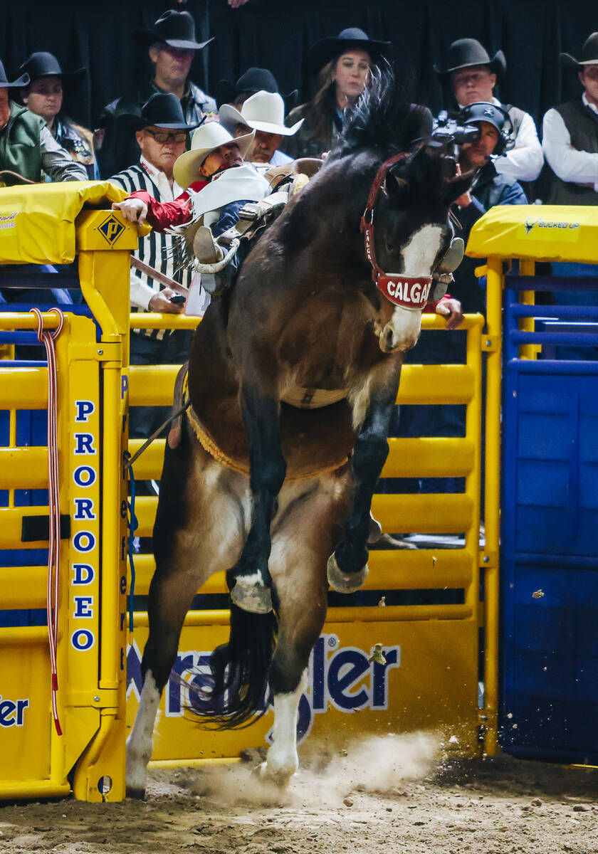 Chase Brooks bucks out of the chute on Get Down during the National Finals Rodeo at the Thomas ...