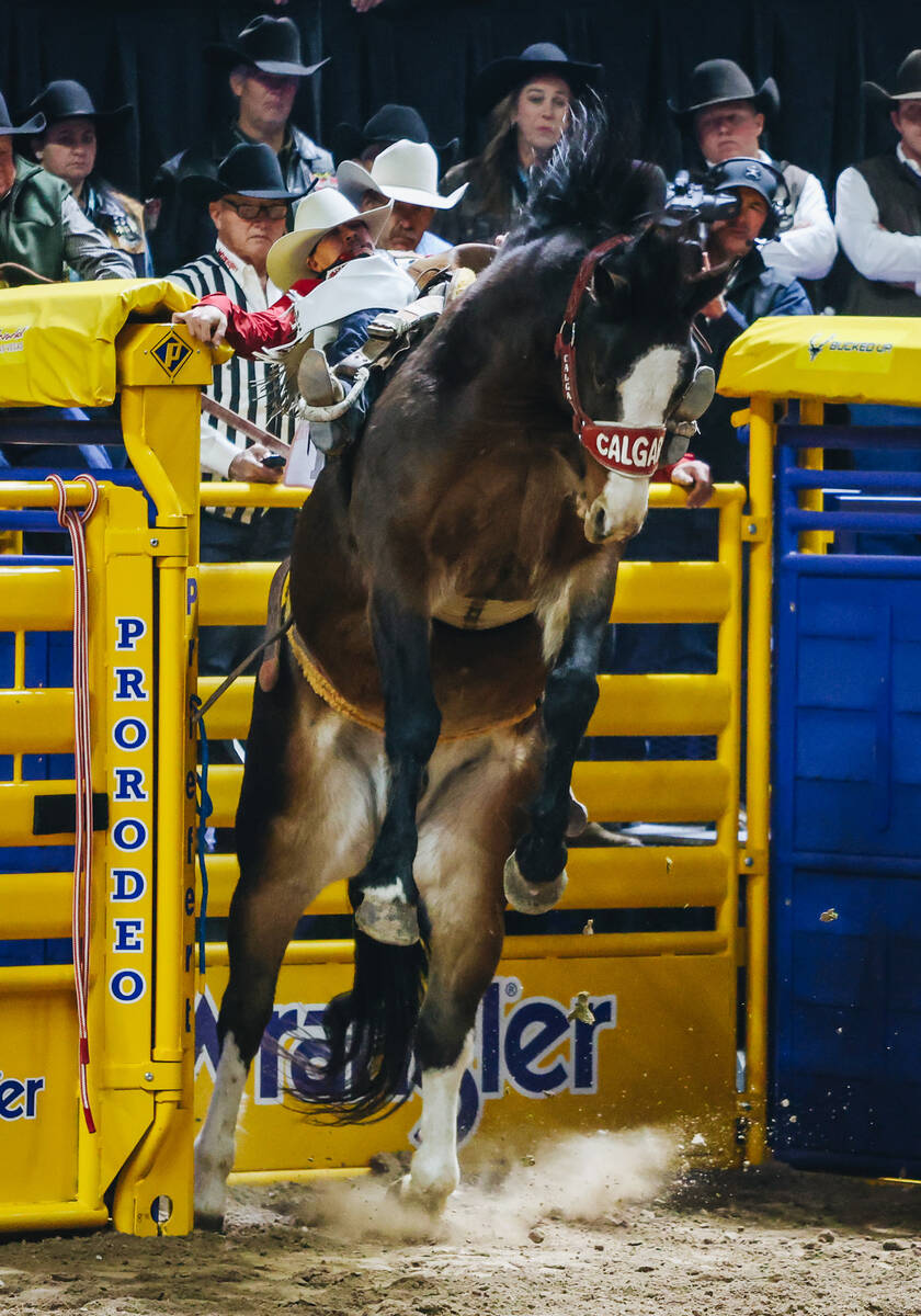 Chase Brooks bucks out of the chute on Get Down during the National Finals Rodeo at the Thomas ...