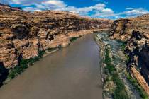 The Colorado River meanders along within the Glen Canyon National Recreation Area about the Hit ...