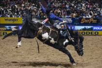 Sage Newman gets bucked during the saddle bronc portion of the National Finals Rodeo at the Tho ...