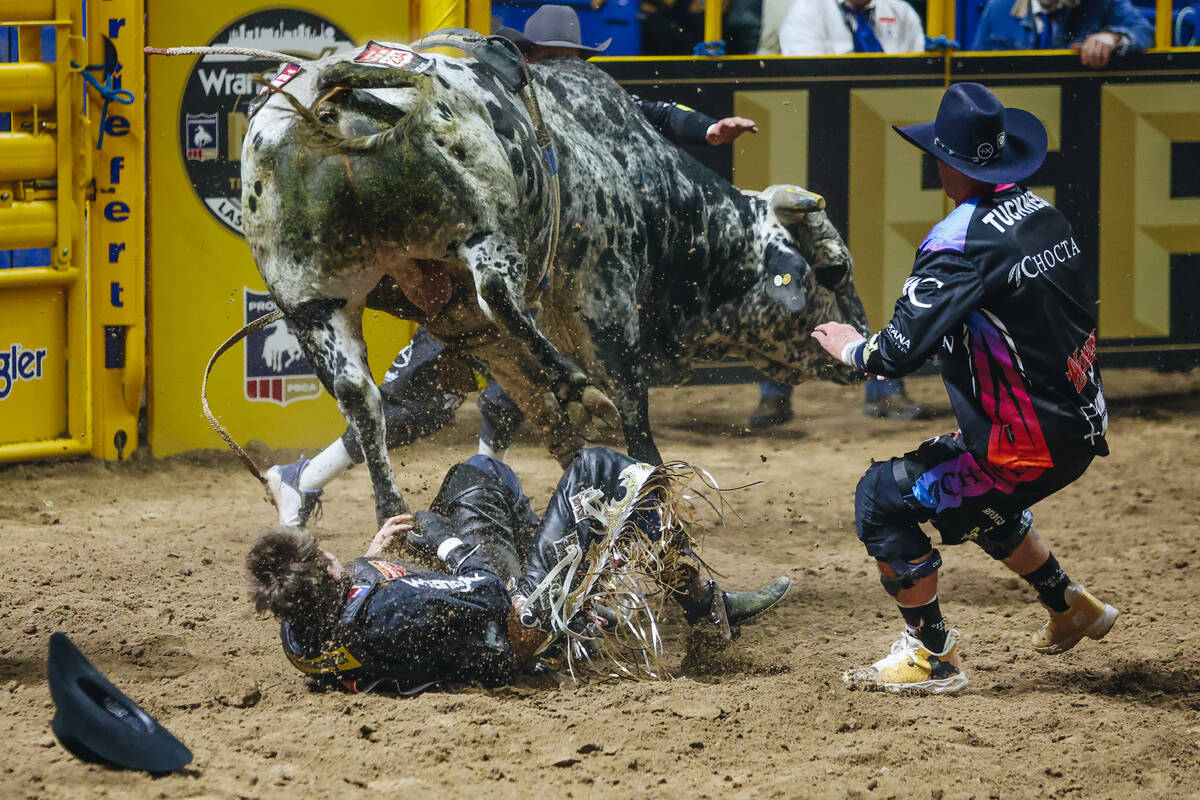 Ky Hamilton falls off of the bull during the National Finals Rodeo at the Thomas & Mack Cen ...