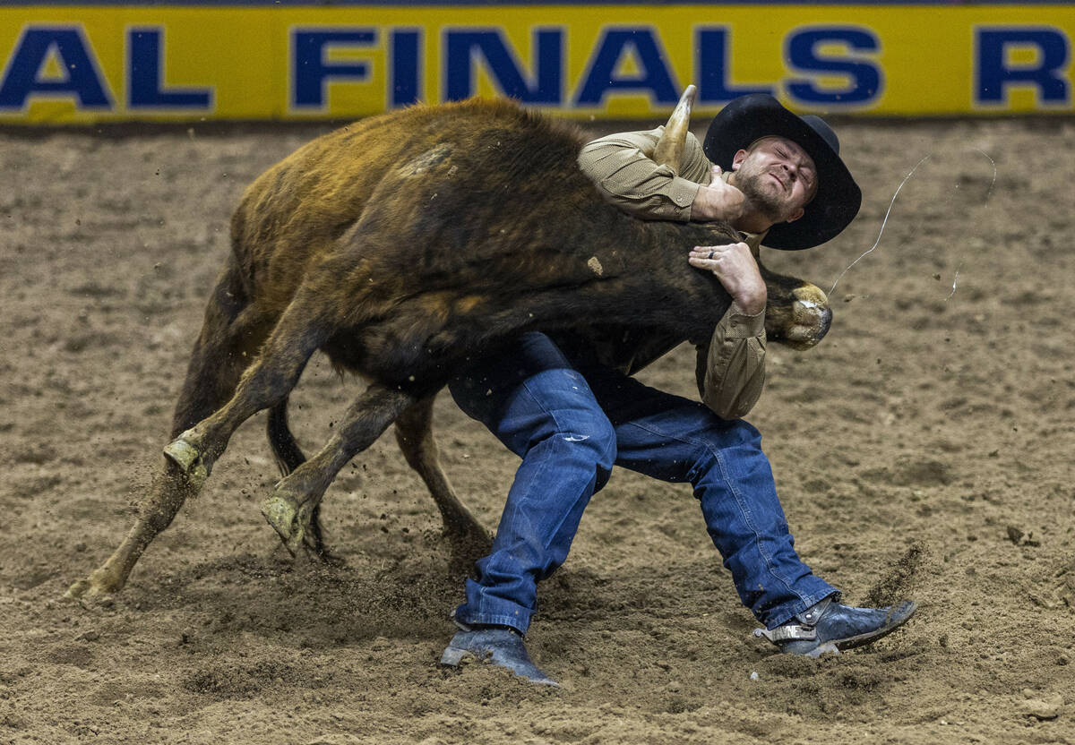 Don Payne works to take down his steer in Steer Wrestling during the final day action of the NF ...