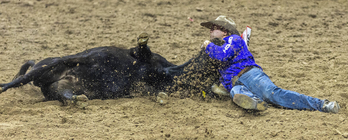 Tyler Waguespack takes down his steer in Steer Wrestling during the final day action of the NFR ...