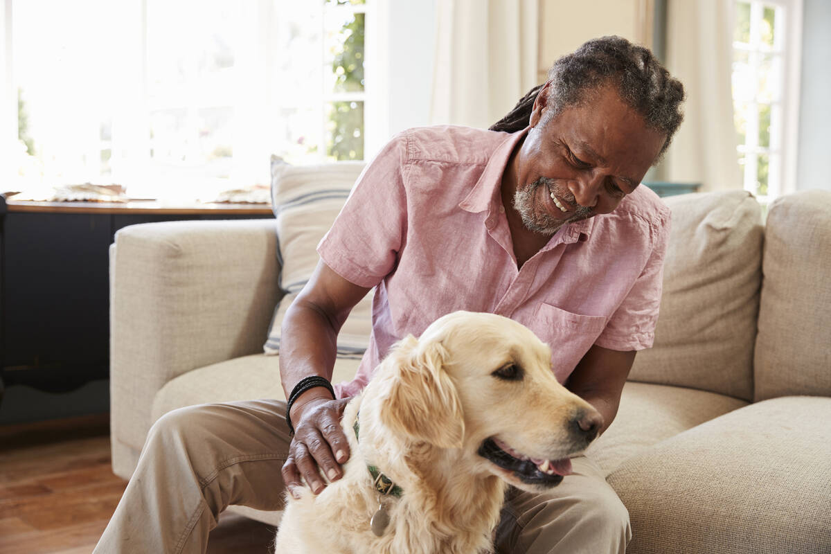 Regular contact with pets is associated with higher cognitive and physical performance, accordi ...