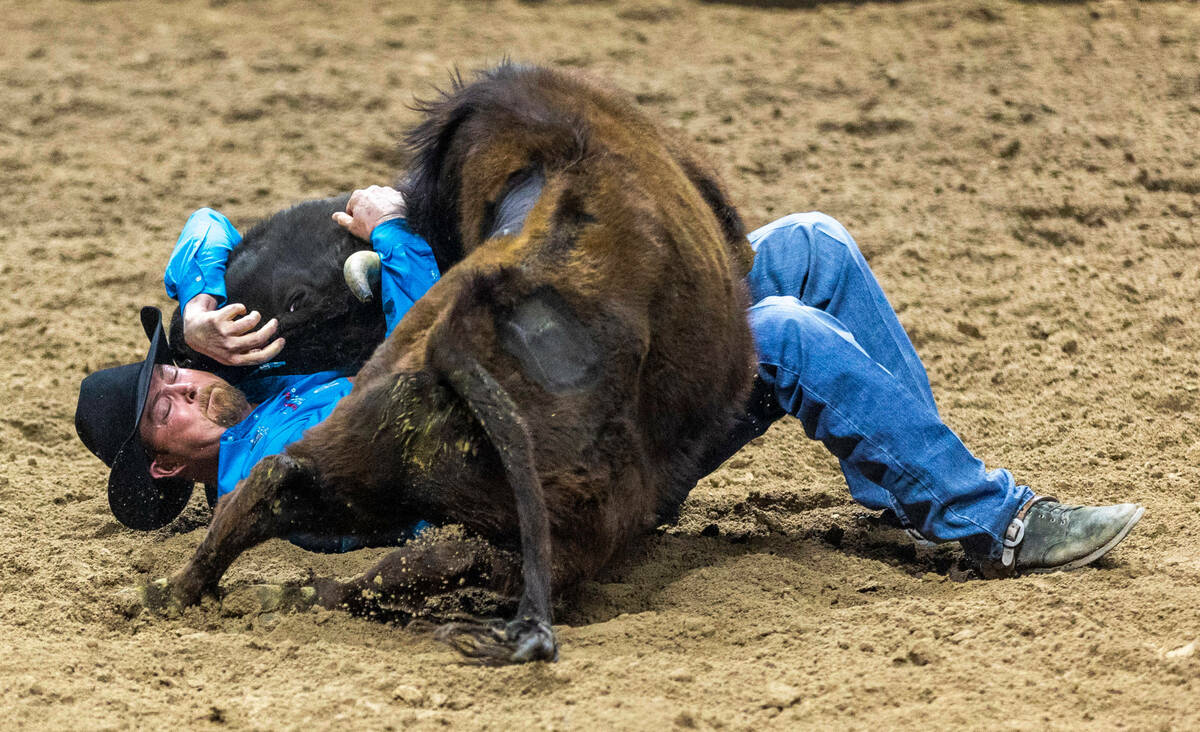 Stan Branco battles to take down his steer in Steer Wrestling during the final day action of th ...