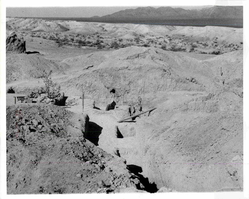 ひでよしページ　【USED】ラスベガスネバダチップ Look back: Ice Age fossils discovered in Las Vegas Valley in