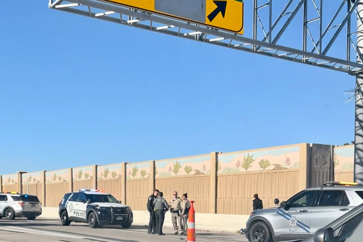 Male found dead at Eastern Avenue exit from U.S. 95