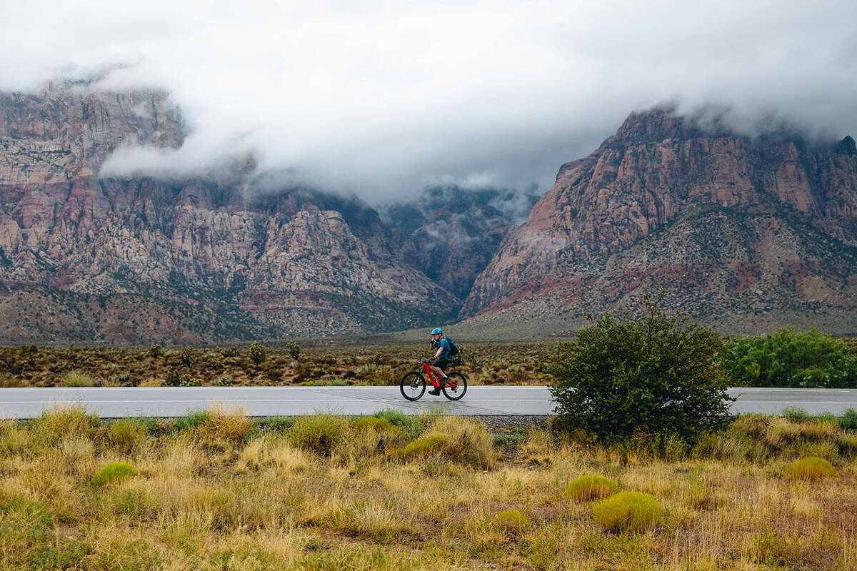 Brian Lee bikes on the Scenic Loop Drive road in Red Rock National Conservation Area on Sunday, ...