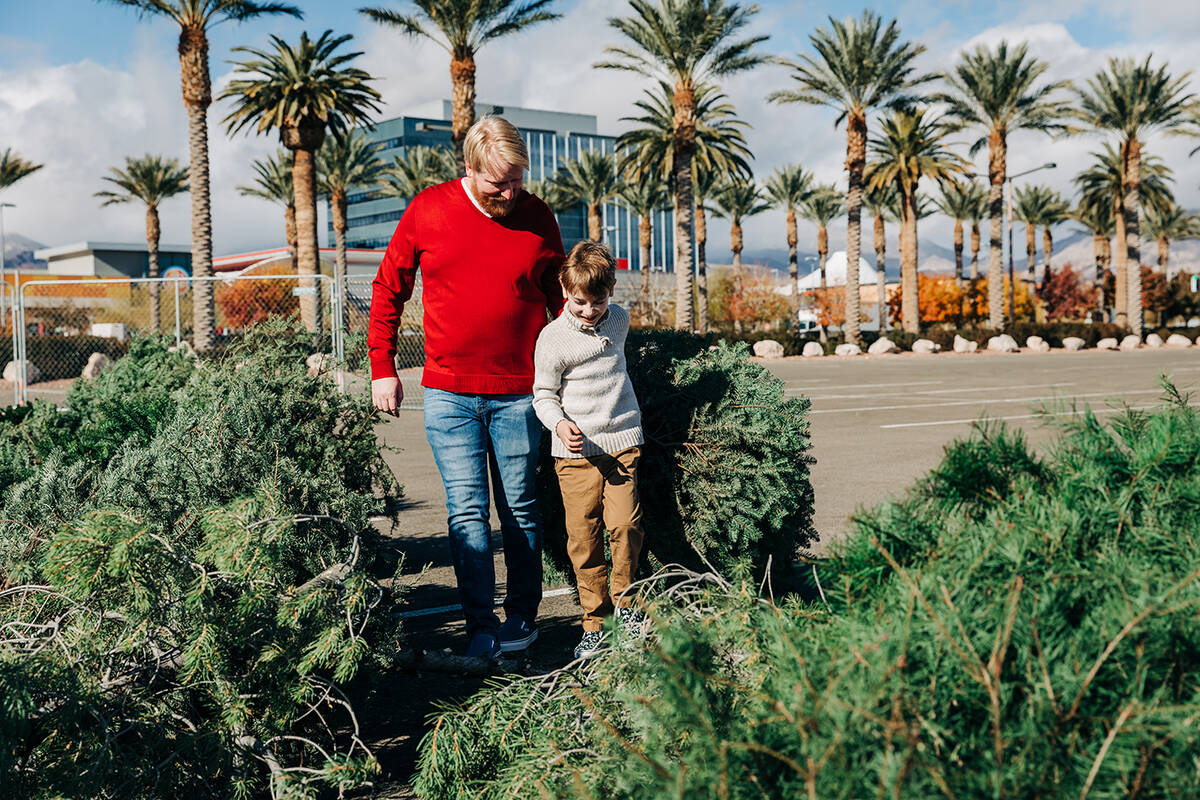 Christmas tree recycling returns to Summerlin