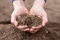 The amount of sand, silt and clay determine the classification of your landscape soil. (Getty I ...