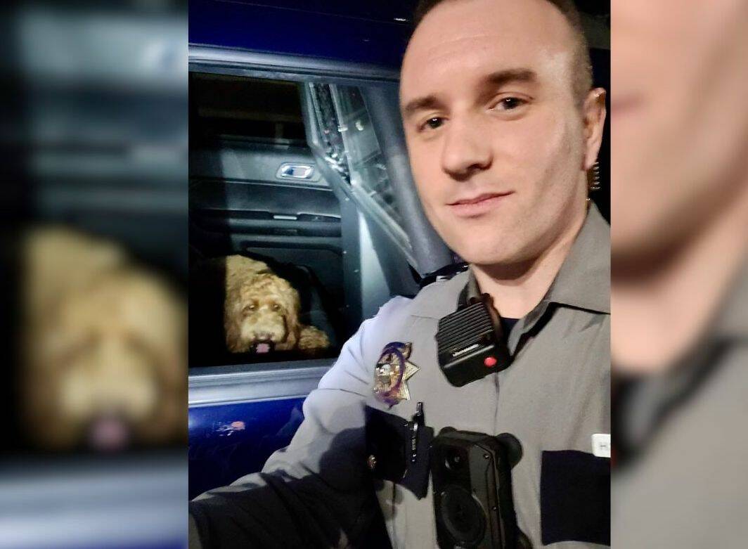 Trooper rescues dog running on Las Vegas freeway early New Year’s Day
