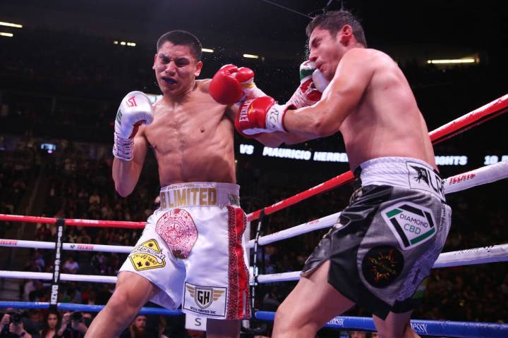Vergil Ortiz Jr., left, connects a punch against Mauricio Herrera before knocking him down in t ...