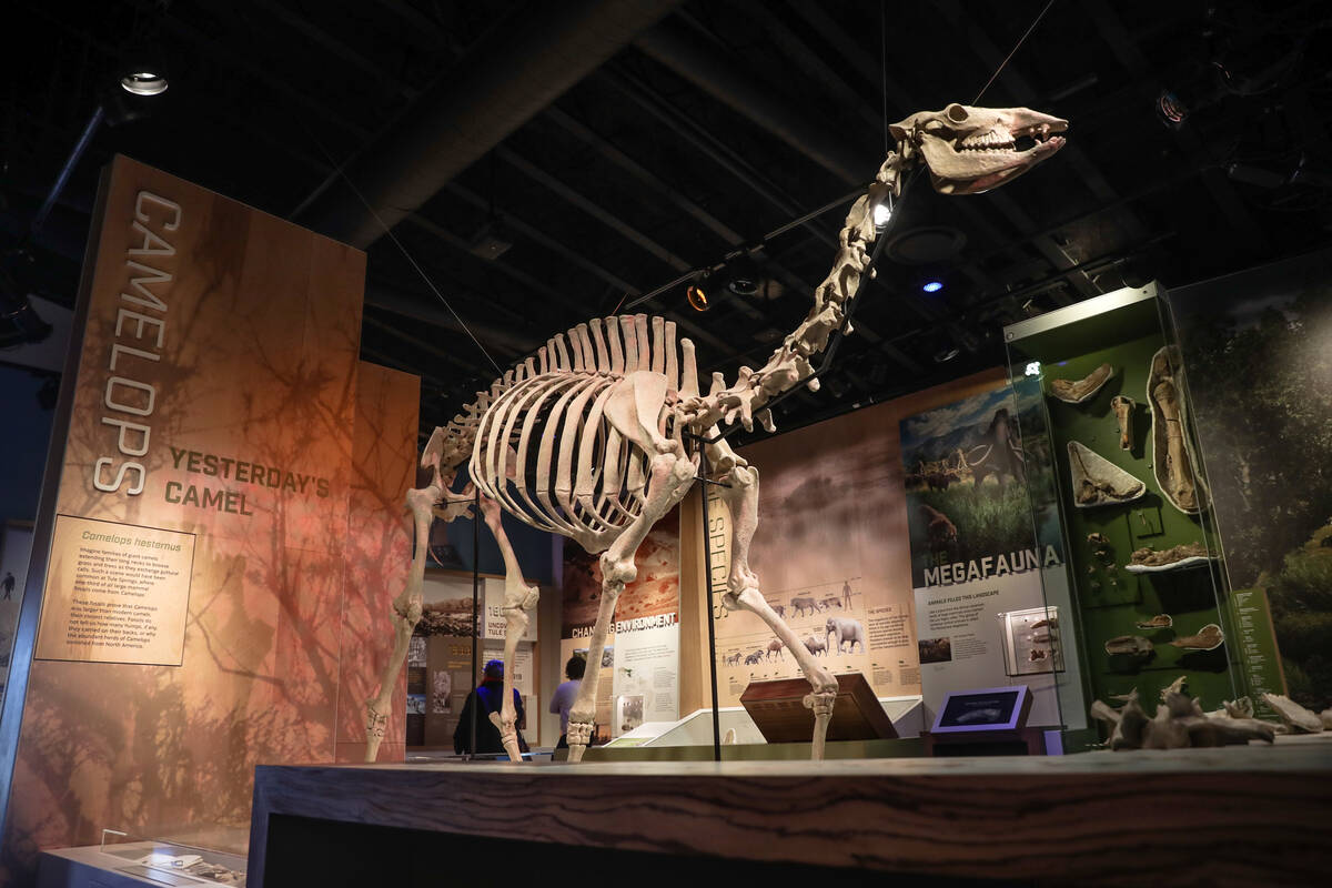 Ice Age Fossils State Park celebrates grand opening in Nevada — PHOTOS