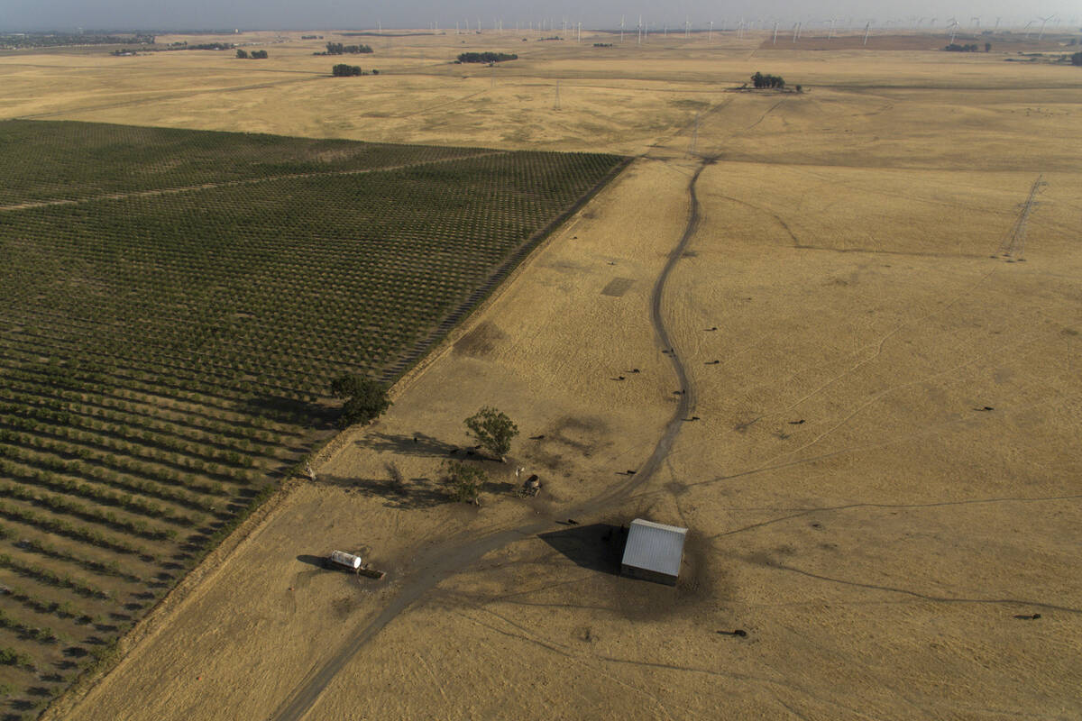 In this aerial photo is farmland and wind farms in the background in rural Solano County, Calif ...