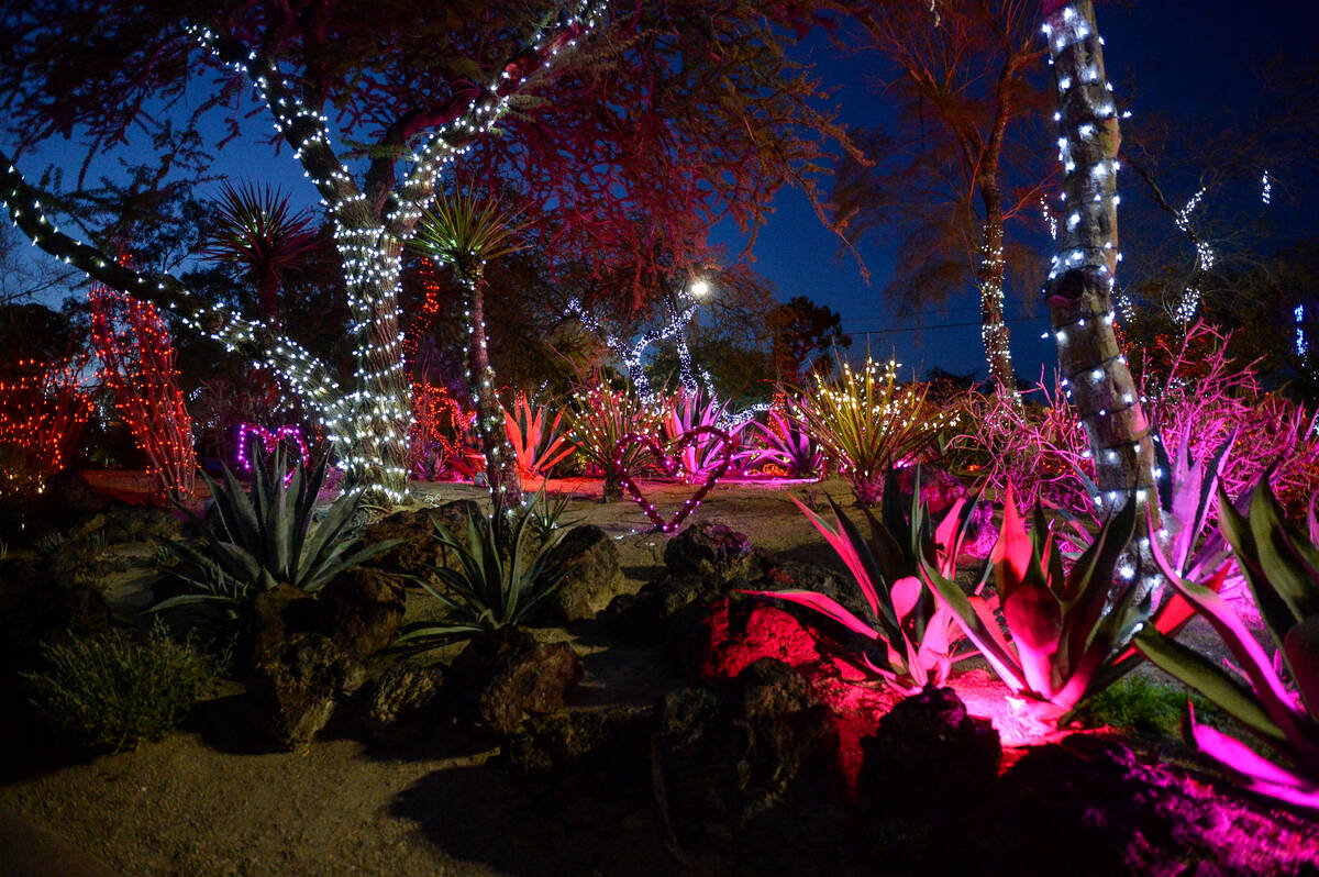 Ethel M to light up Cactus Garden for Valentine’s Day