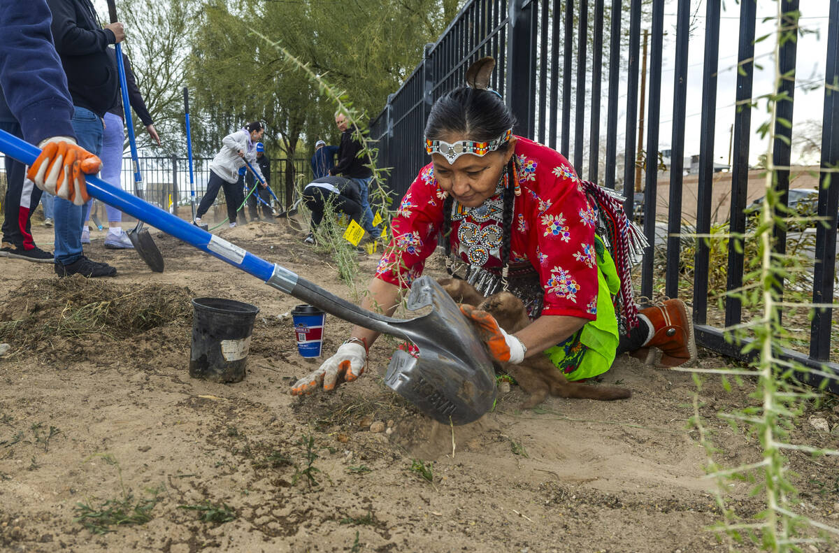 LouElla Spencer plants a small tree with the help of her daughter ZJustyaira Brooks, left, duri ...