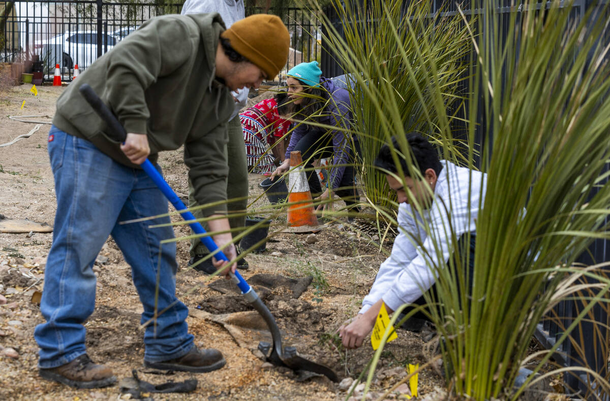 Attendees plant trees and bushes during the first of Super Bowl "Green Week" events a ...