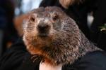 Punxsutawney Phil predicts early spring at Groundhog Day festivities