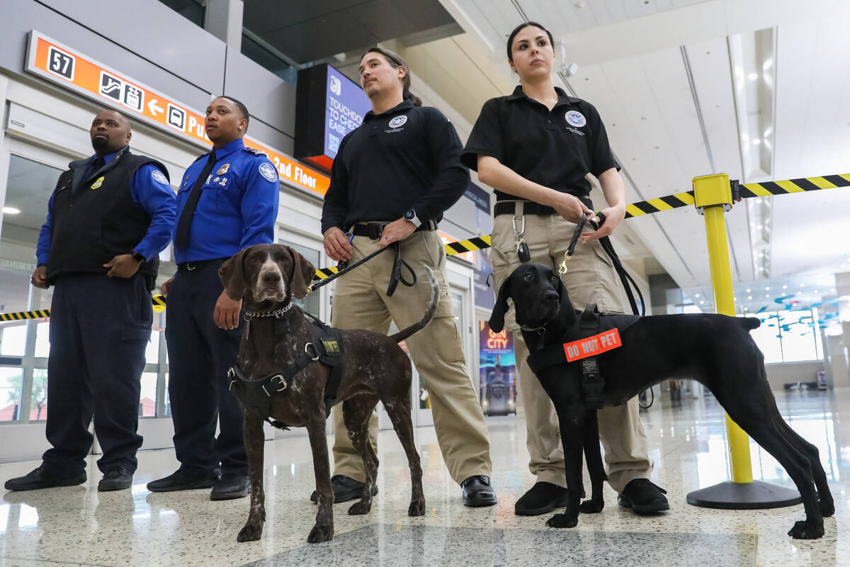 TSA canine handlers Vanessa G., right, with her dog Santi, and George J., alongside his dog Mer ...