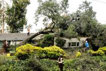 Workers clear a tree that fell onto a home during heavy wind and rain on Sunday, Feb. 4, 2024, ...
