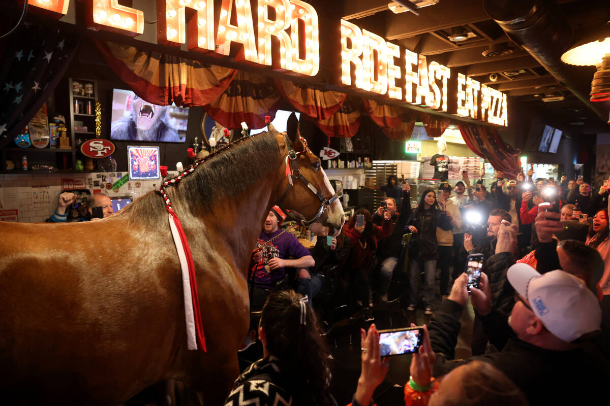 A Budweiser Clydesdales greets customers at Evel Pie on East Fremont Street in downtown Las Veg ...