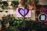 4 Las Vegas plant shops to jumpstart your indoor garden