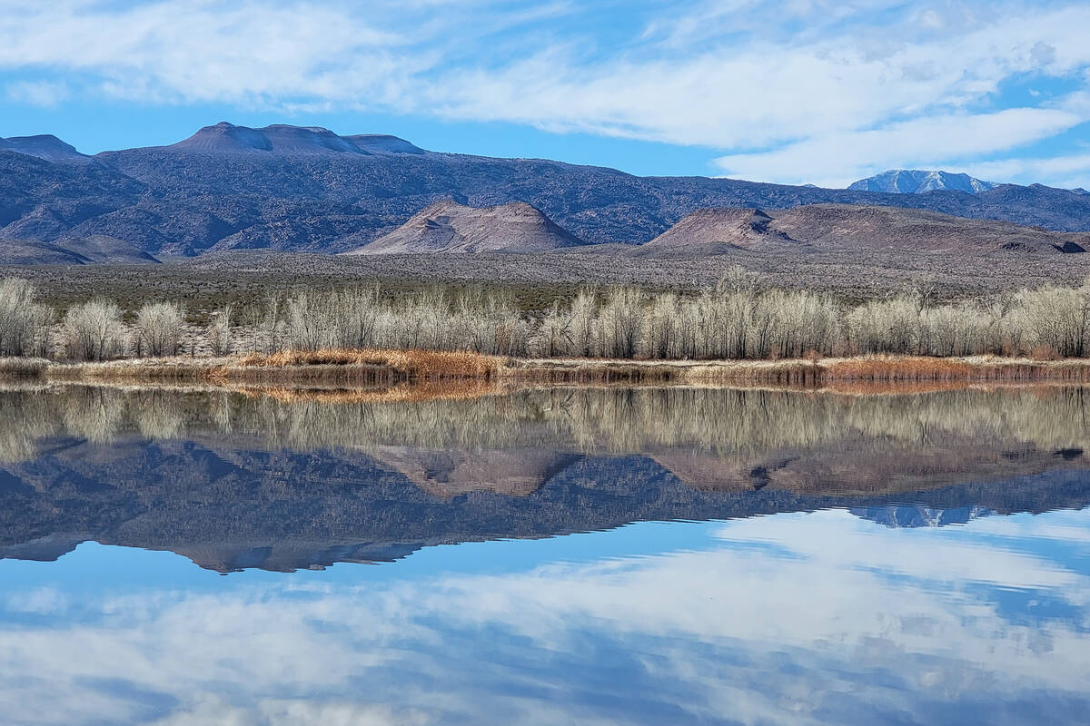 A winter reflection of Upper Pahranagat Lake about 1½ hours north of Las Vegas. (Natalie B ...