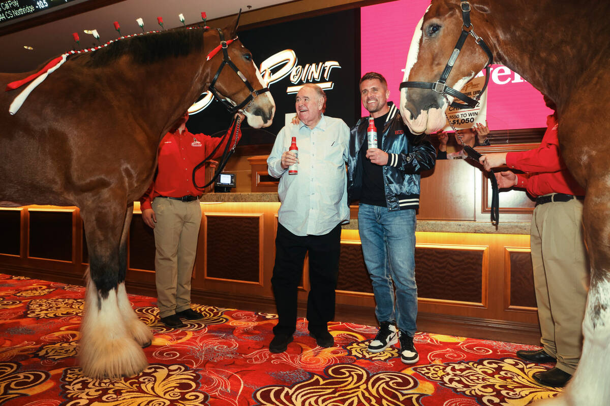 Budweiser Clydesdales have their photo taken with Michael Gaughan, owner of South Point, and Br ...
