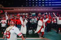 San Francisco 49ers fans cheer after a touchdown against Kansas City Chiefs during Super Bowl L ...
