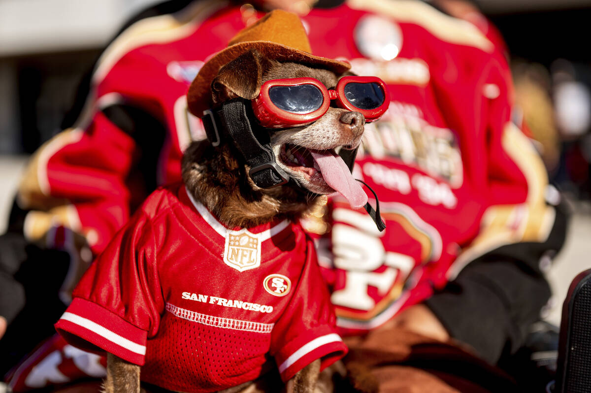 "Monster Man" attends a San Francisco 49ers watch party outside the Chase Center in S ...