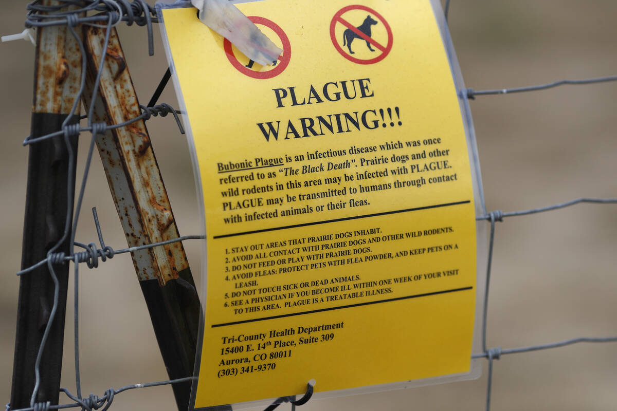 Here’s what to know after Oregon resident diagnosed with bubonic plague