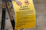 Here’s what to know after Oregon resident diagnosed with bubonic plague