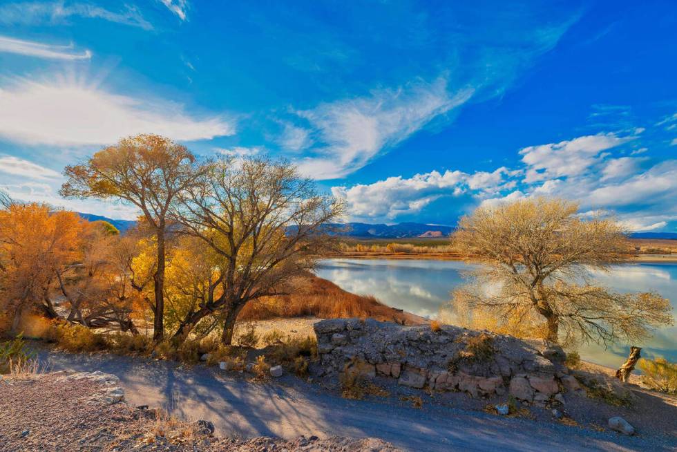 Bird-watchers will love a visit to Pahranagat National Wildlife Refuge thanks to its location a ...