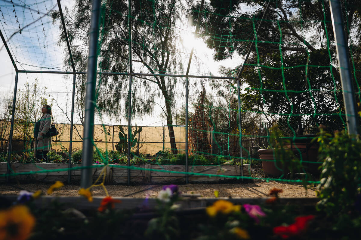 The Teaching Garden is seen at Springs Preserve on Saturday, Feb. 24, 2024, in Las Vegas. (Made ...