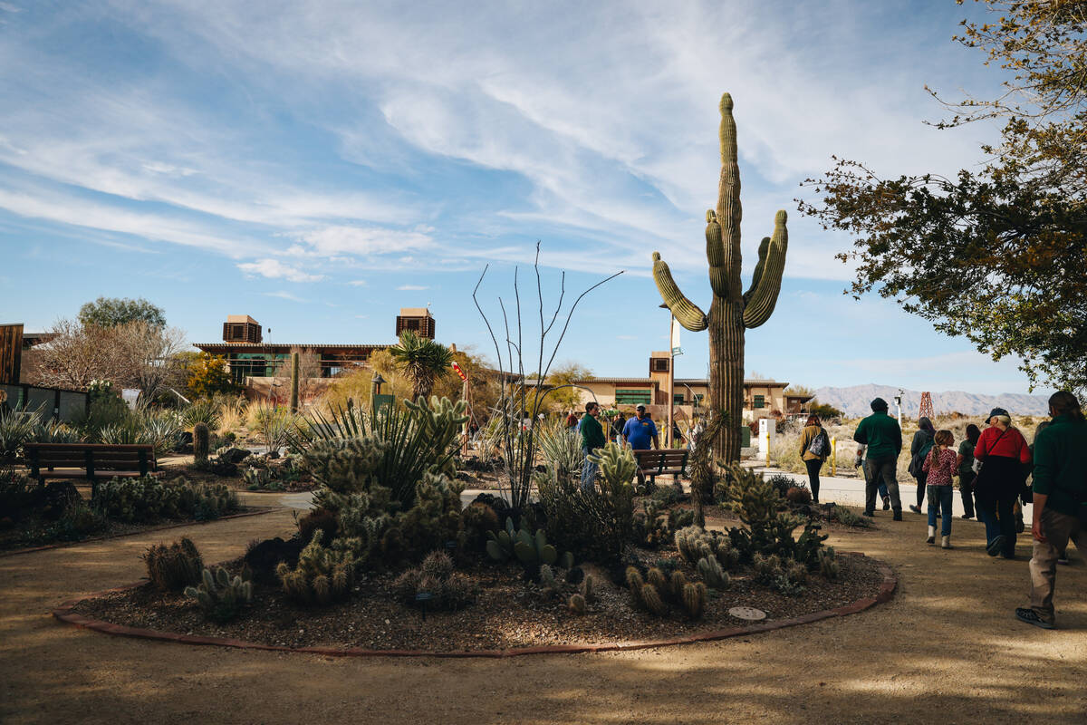 Plants being grown in the teaching garden are seen at Springs Preserve on Saturday, Feb. 24, 20 ...