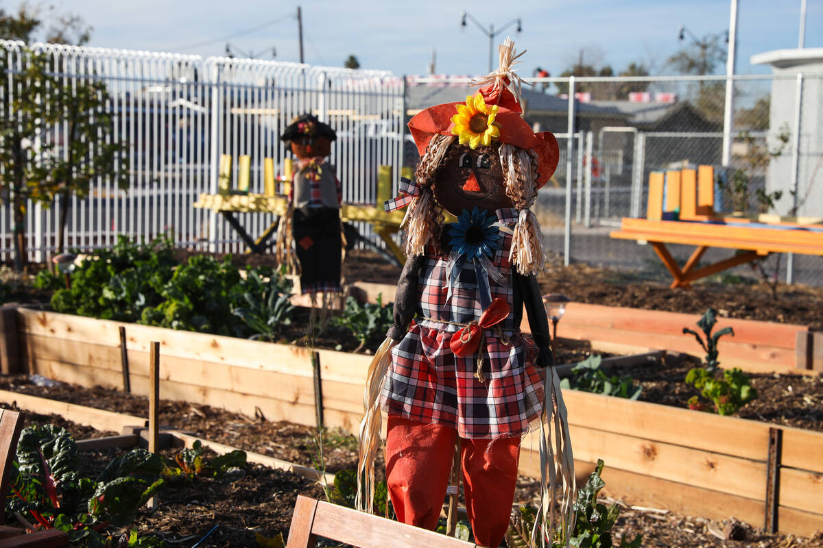 Historic Westside urban farm to host first farmers’ market