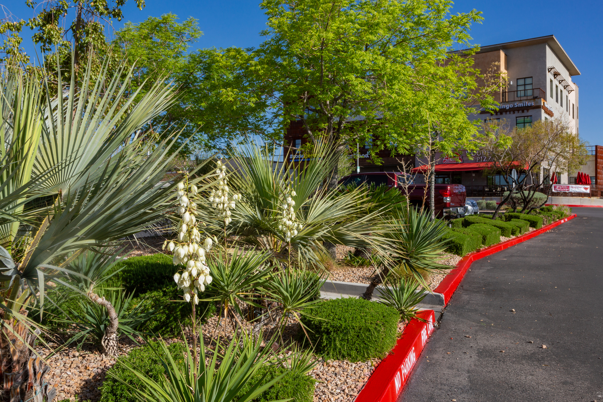 Water-smart landscaping at commercial businesses in Summerlin.